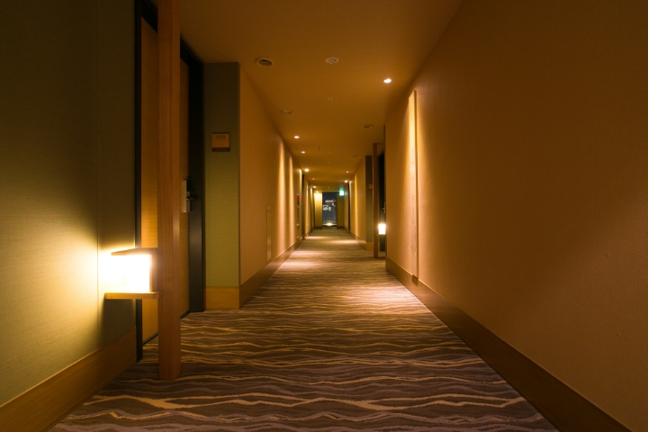 Use of LED light bulbs