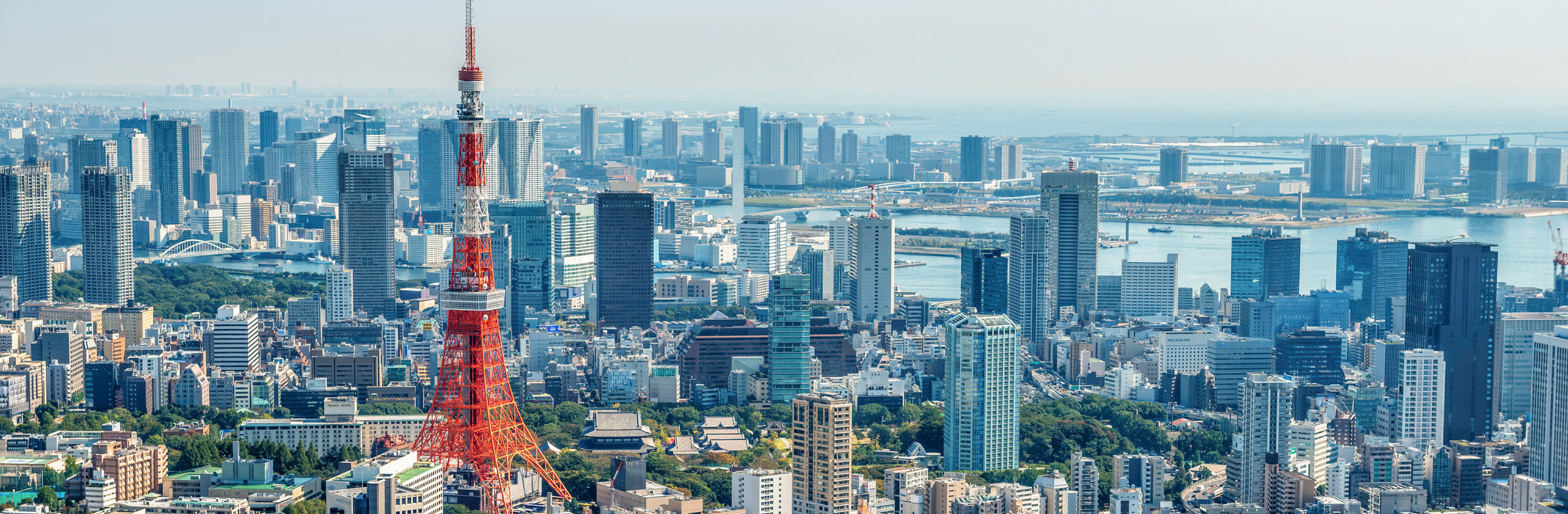 東京を楽しむメイン画像