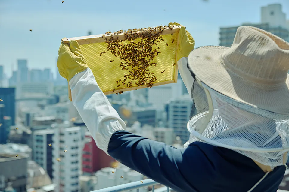 Niwa Honey02