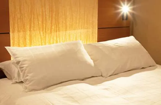 "Refworge" Pillows