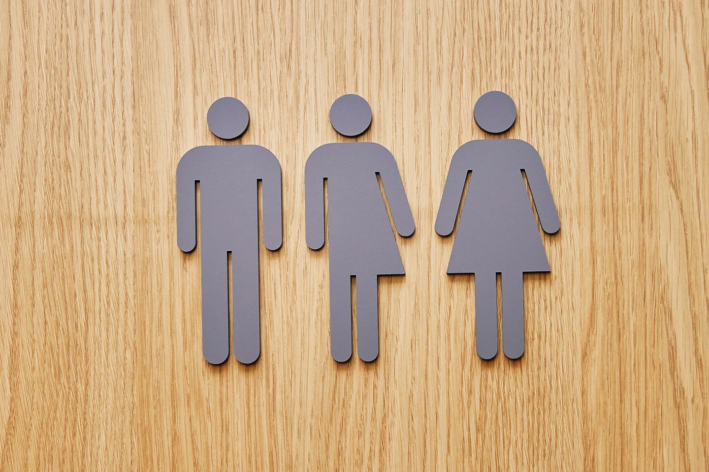 Gender-neutral Toilet