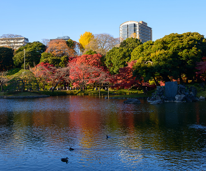 小石川後楽園画像