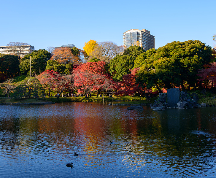 小石川後楽園画像